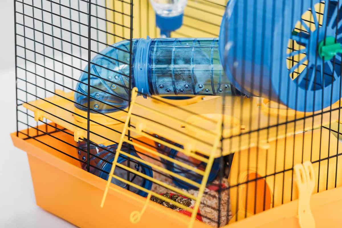 Orange pet cage with hamster inside transparent plastic tunnel