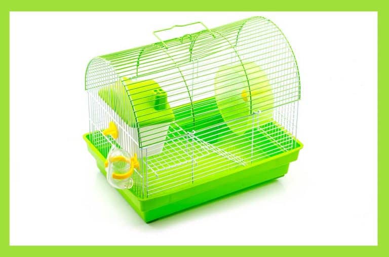 The 10 Best Hamster Travel Cages