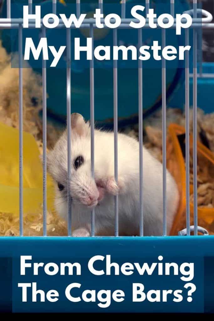 How to Stop My Hamster From Chewing the Bars of the Cage?