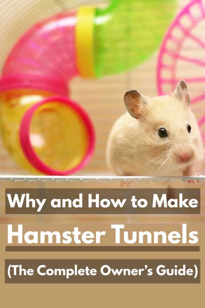 Cute hamster playing around its cage, Why and How to Make Hamster Tunnels (The Complete Owner's Guide)