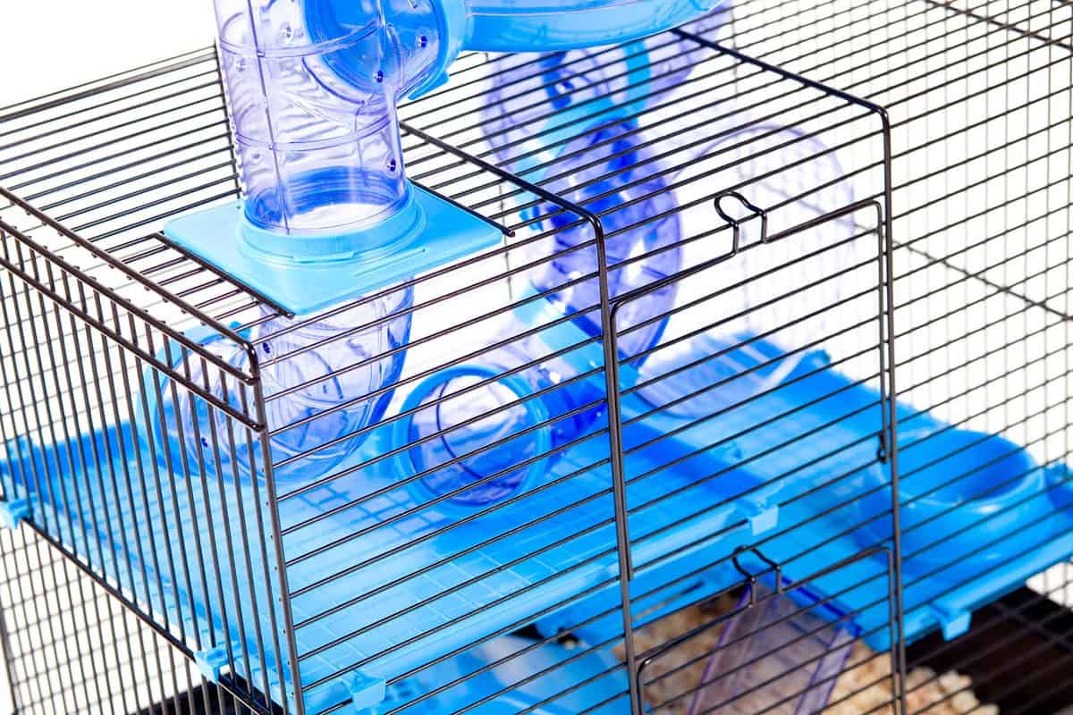 Modern cage for hamster