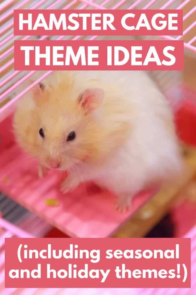 Hamster Cage Themes Ideas (Including seasonal and holiday themes!)