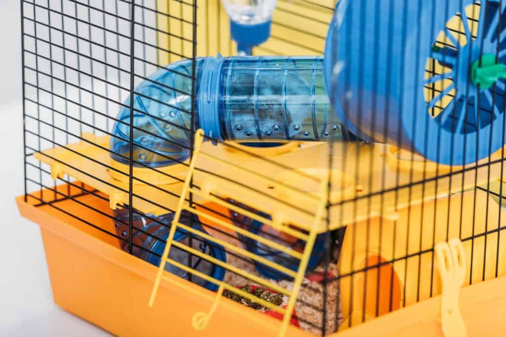 A cute brown hamster crawling inside his blue tunnel system in a yellow cage