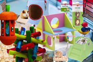 Read more about the article 11 Inexpensive Hamster Toys That Your Hammy Will Love