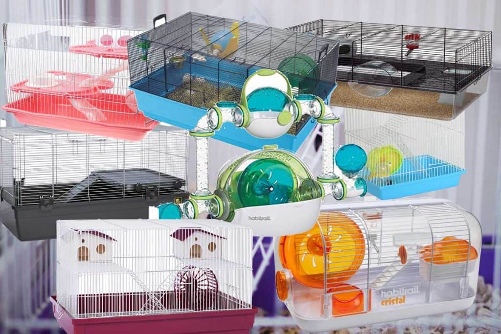 Top 8 Dwarf Hamster Cages (That Could Make Your Hammy Very Happy!)