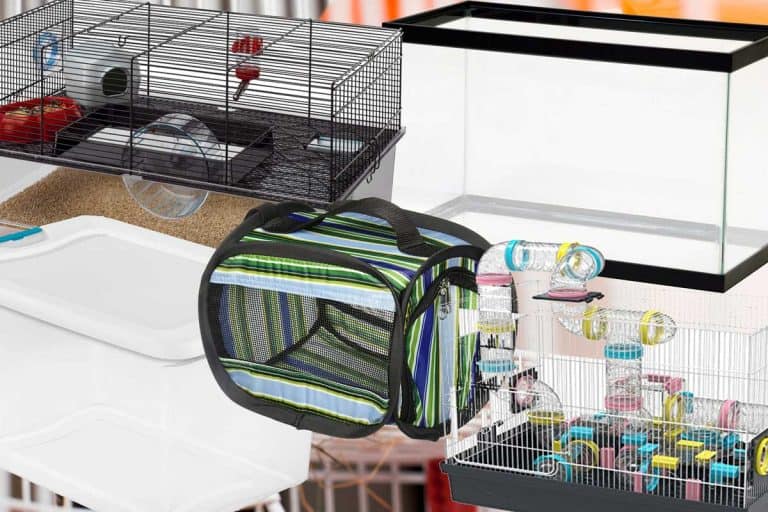 5 Types of Hamster Cages Every Pet Owner Needs To Know