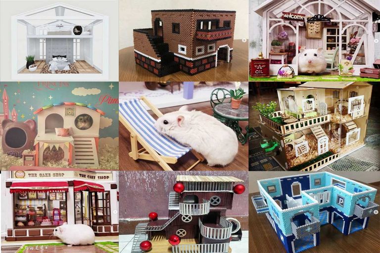 30 Luxury Hamster Cages and Homes That Will Amaze You