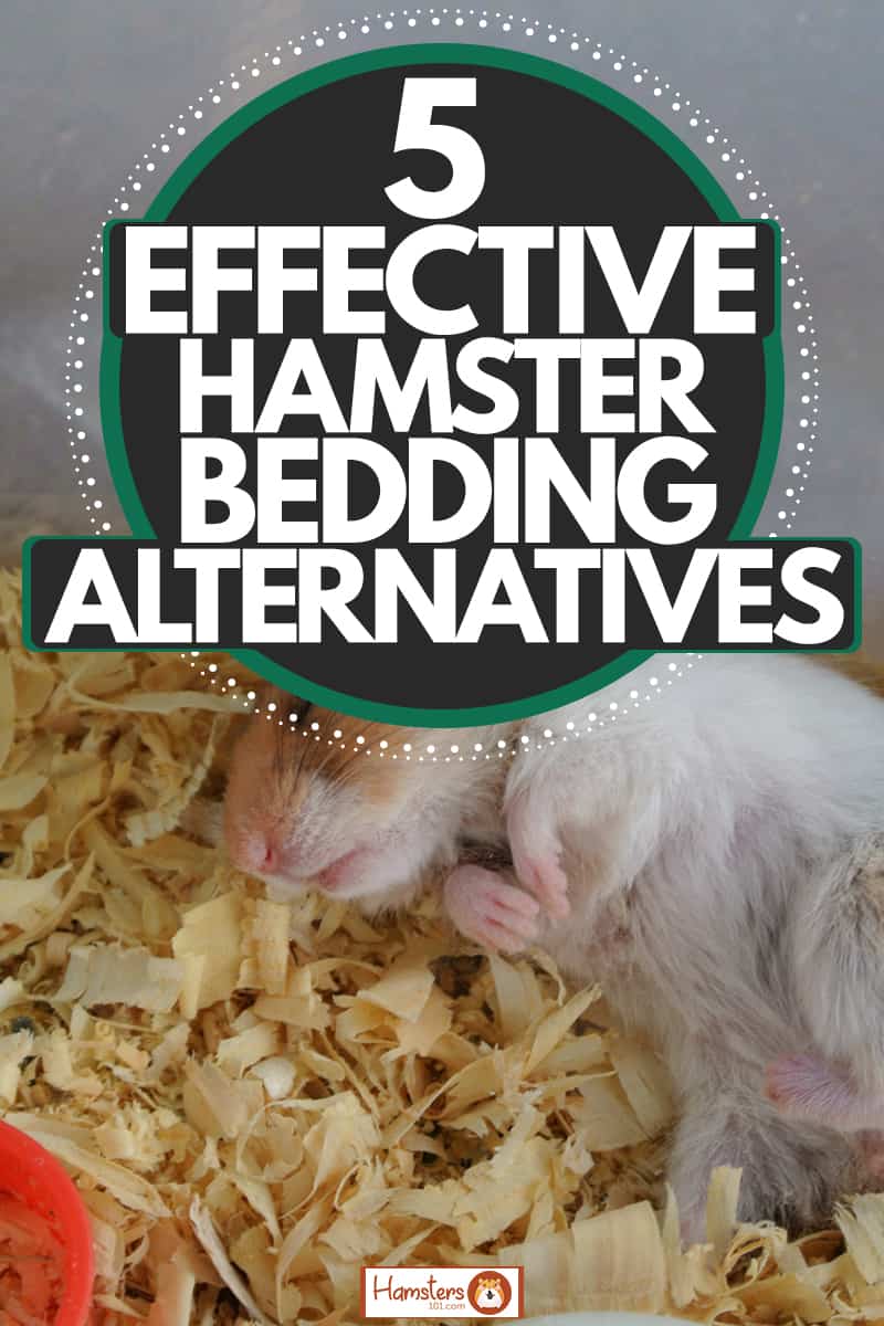 A small hamster sleeping in shredded wood flooring for safe and non toxic sleeping, 5 Effective Hamster Bedding Alternatives